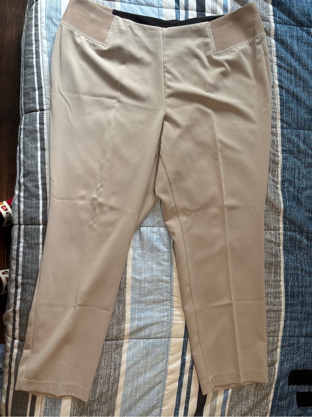 TanJay Beige Stretch-Waist Dress Pants for Women